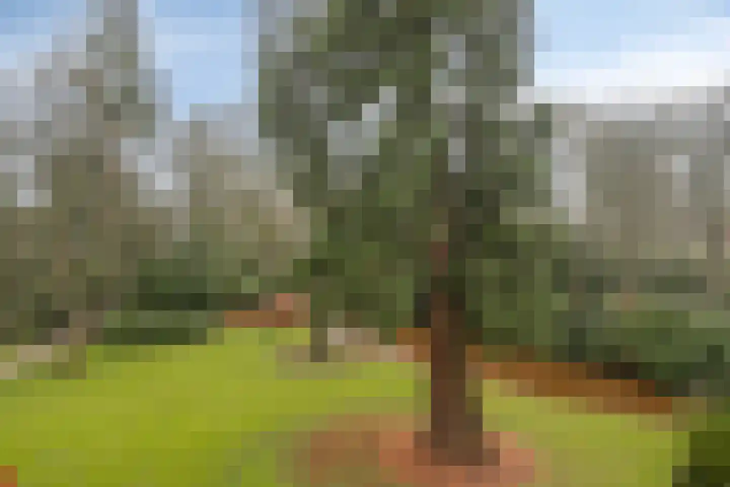 Park Vredehof 22 Soest thumbnail 21