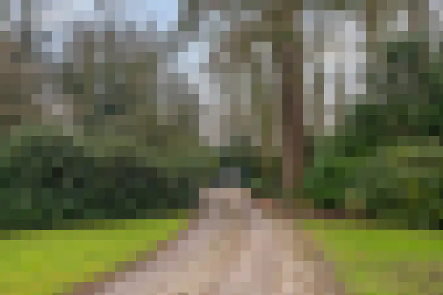 Park Vredehof 22 Soest thumbnail 25