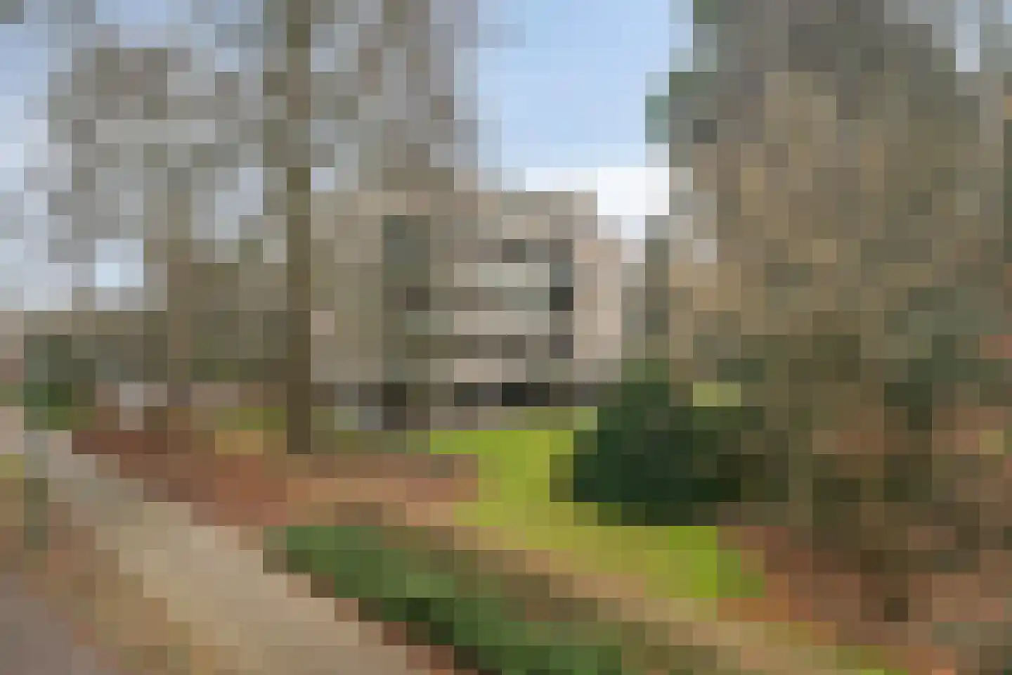 Park Vredehof 22 Soest thumbnail 32