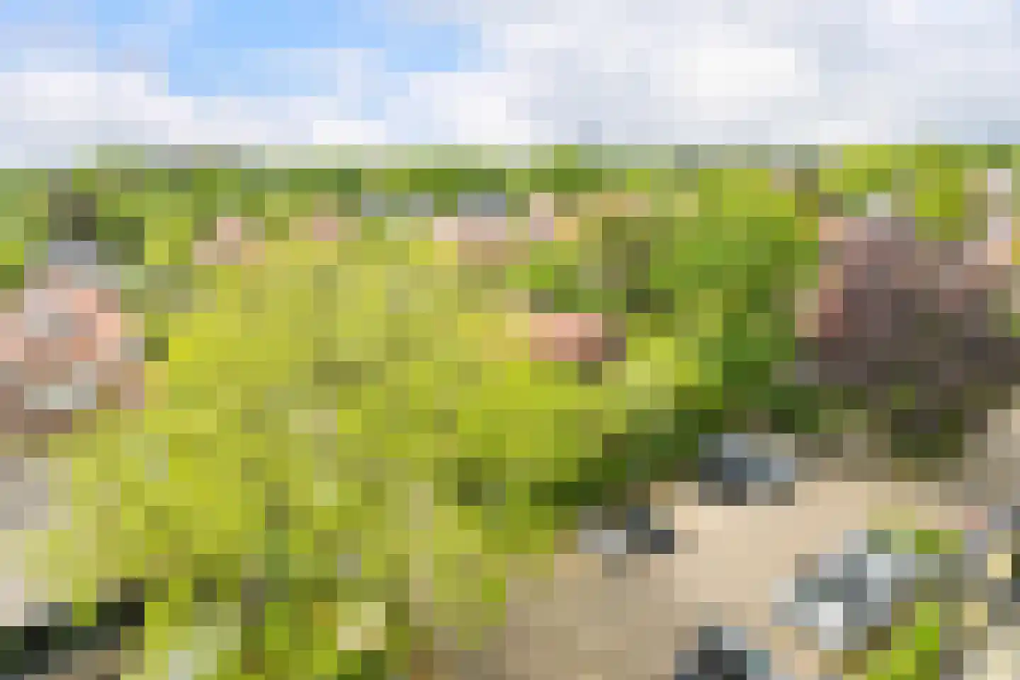 Park Vronesteyn 100 Voorburg thumbnail 34