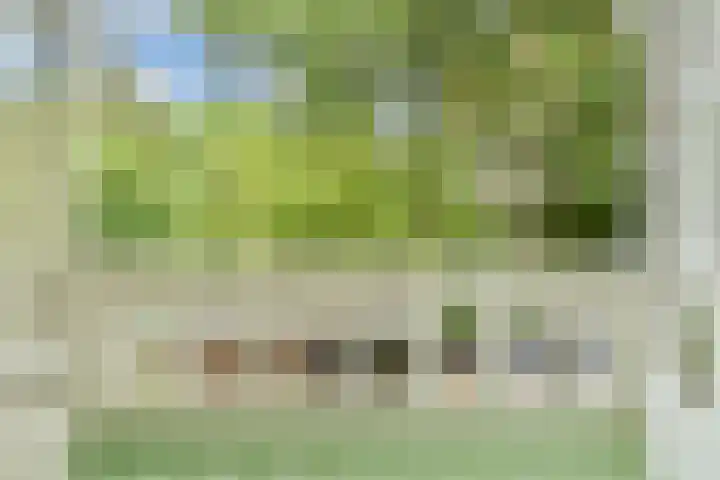 Park Vronesteyn 138 Voorburg thumbnail 32