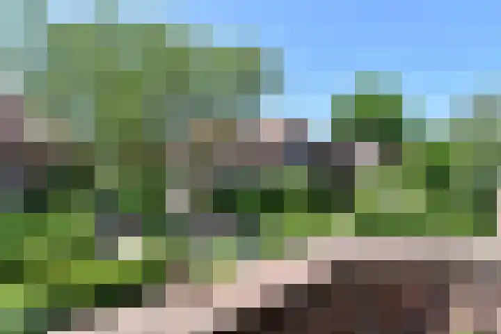 Park Vronesteyn 138 Voorburg thumbnail 38