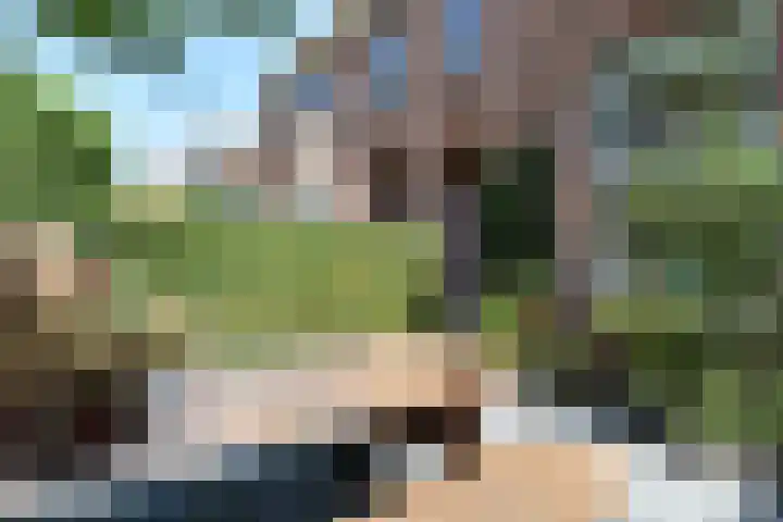 Park Vronesteyn 138 Voorburg thumbnail 4
