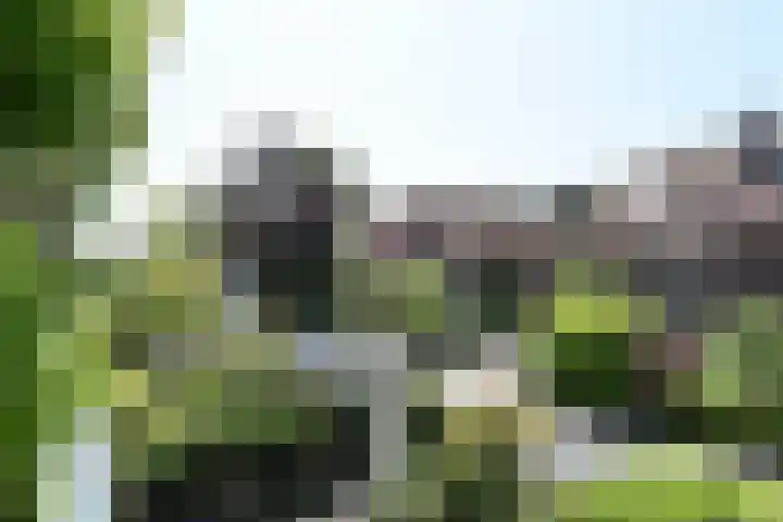 Park Vronesteyn 138 Voorburg thumbnail 62