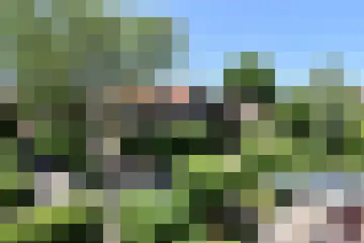 Park Vronesteyn 138 Voorburg thumbnail 63