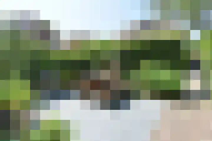 Park Vronesteyn 138 Voorburg thumbnail 7