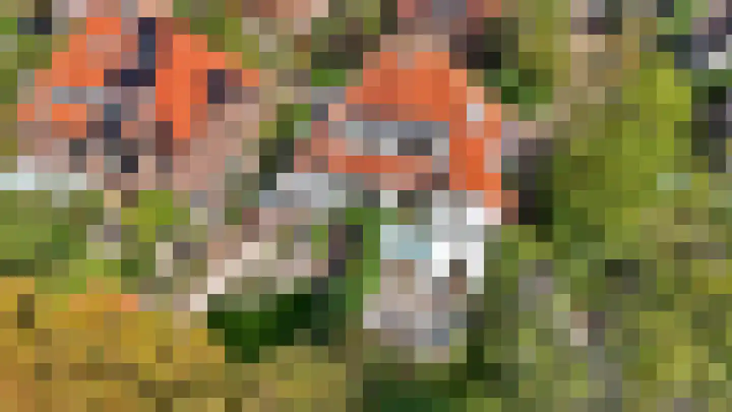 Park Vronesteyn 22 Voorburg thumbnail 5