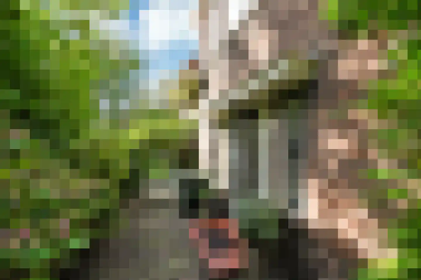 Park Vronesteyn 22 Voorburg thumbnail 8