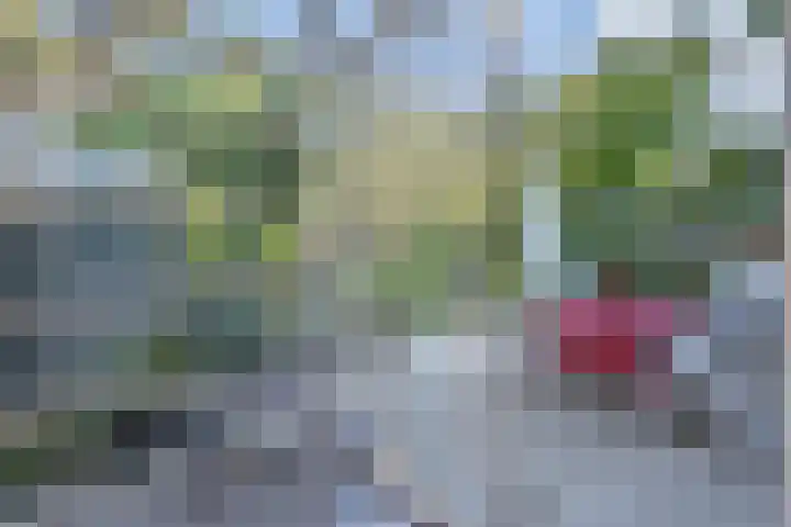 Park Vronesteyn 31 Voorburg thumbnail 23