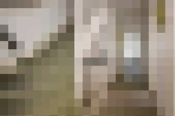Park Vronesteyn 31 Voorburg thumbnail 24