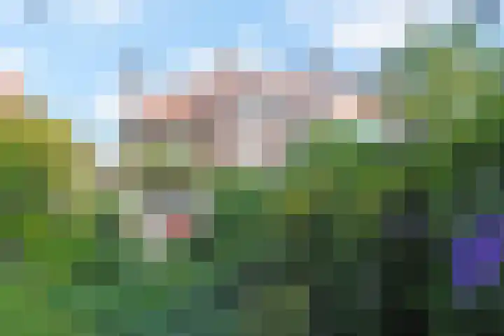 Park Vronesteyn 31 Voorburg thumbnail 39