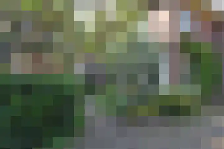 Park Vronesteyn 31 Voorburg thumbnail 4