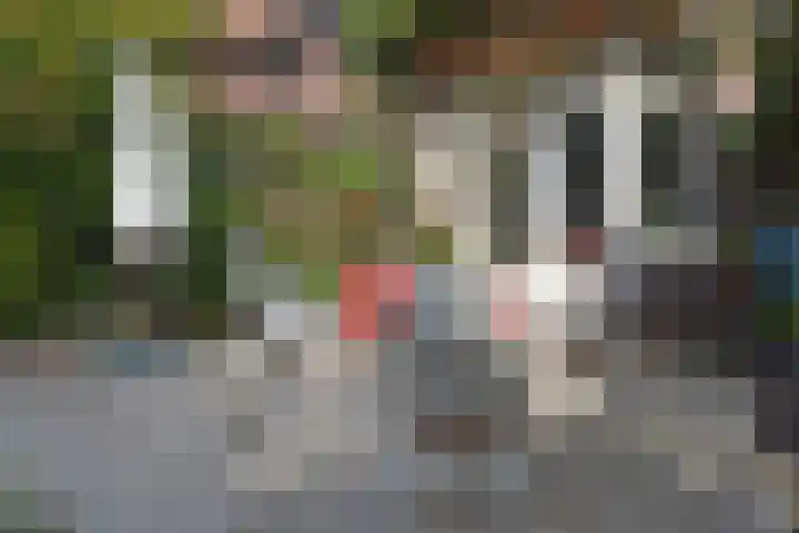 Park Vronesteyn 31 Voorburg thumbnail 41