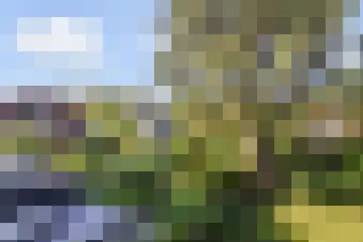 Park Vronesteyn 31 Voorburg thumbnail 42