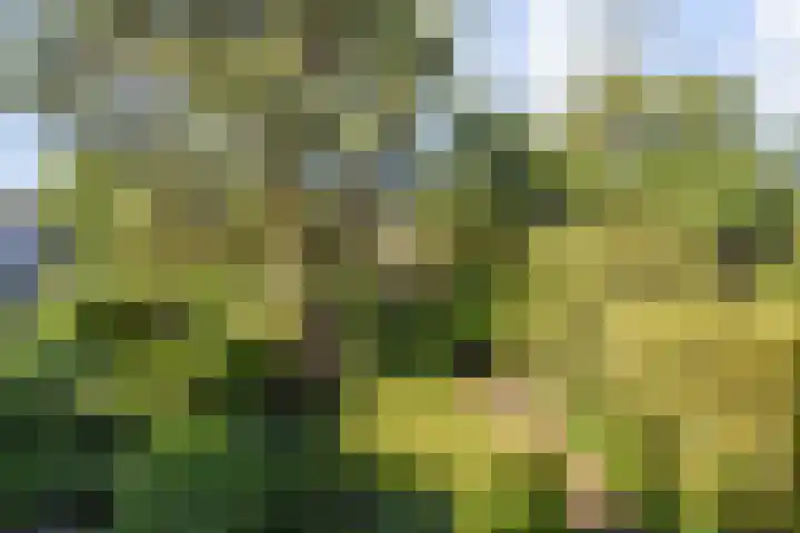Park Vronesteyn 31 Voorburg thumbnail 43