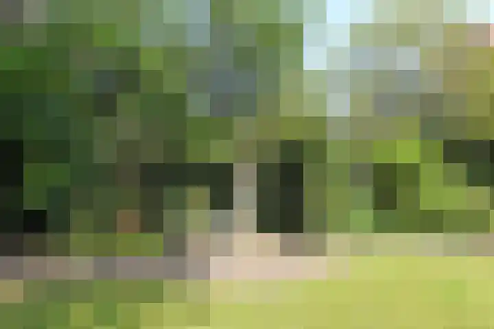Park Vronesteyn 31 Voorburg thumbnail 44