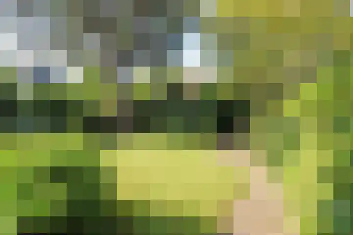 Park Vronesteyn 31 Voorburg thumbnail 45