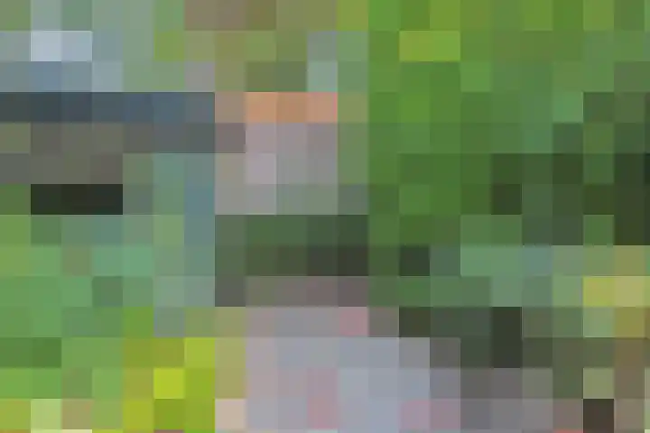 Park Vronesteyn 31 Voorburg thumbnail 46