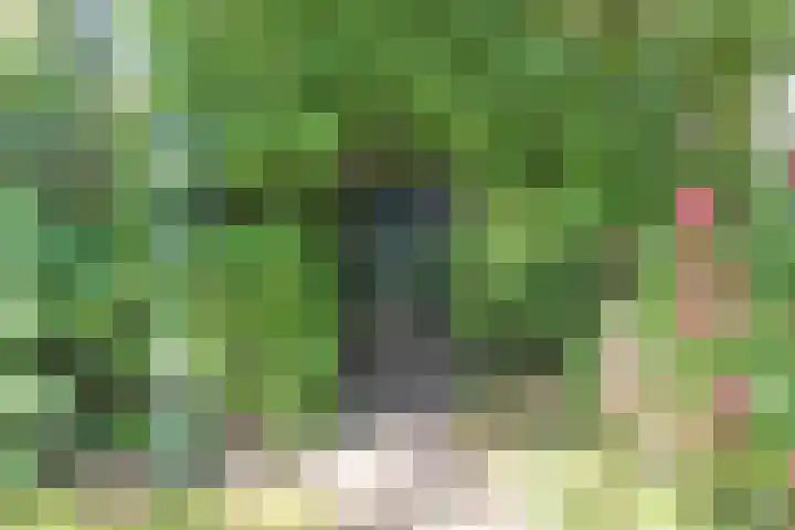 Park Vronesteyn 31 Voorburg thumbnail 47