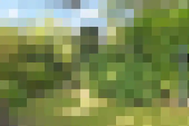 Park Vronesteyn 31 Voorburg thumbnail 48