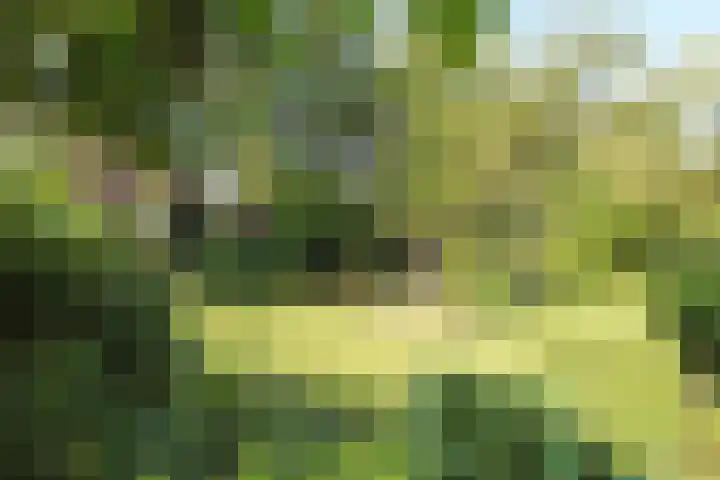 Park Vronesteyn 31 Voorburg thumbnail 49
