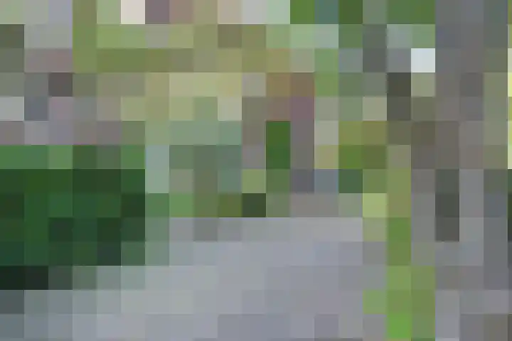 Park Vronesteyn 31 Voorburg thumbnail 5