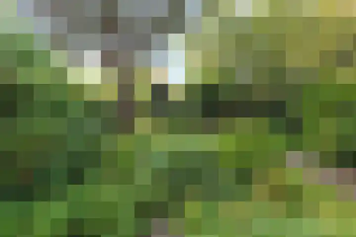 Park Vronesteyn 31 Voorburg thumbnail 50