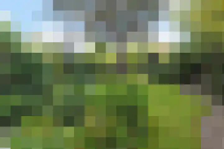 Park Vronesteyn 31 Voorburg thumbnail 51
