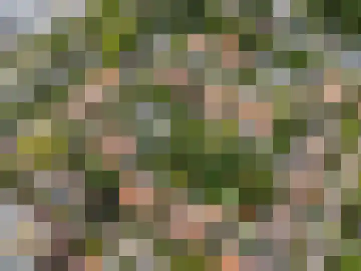 Park Vronesteyn 31 Voorburg thumbnail 55