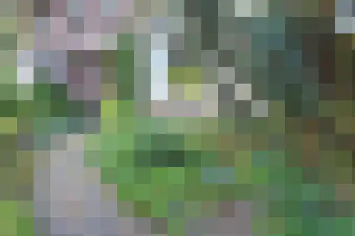 Park Vronesteyn 31 Voorburg thumbnail 6