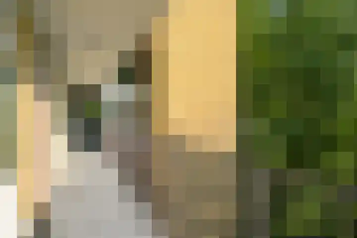 Park Vronesteyn 36 Voorburg thumbnail 10