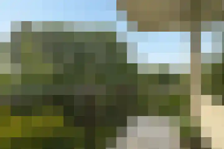 Park Vronesteyn 36 Voorburg thumbnail 11