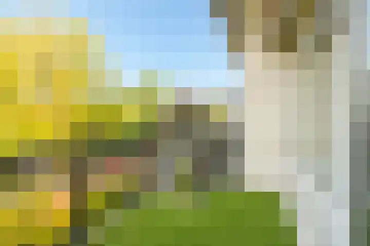 Park Vronesteyn 36 Voorburg thumbnail 18