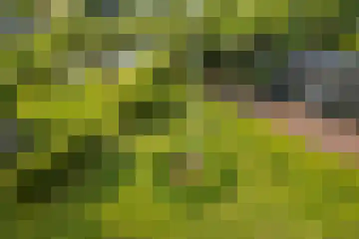 Park Vronesteyn 36 Voorburg thumbnail 20