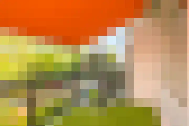 Park Vronesteyn 36 Voorburg thumbnail 21