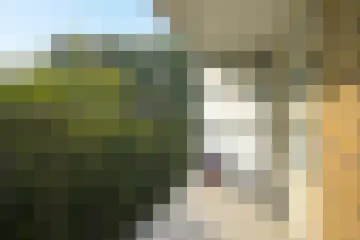 Park Vronesteyn 36 Voorburg thumbnail 31