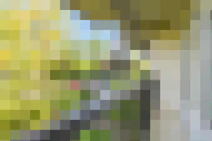 Park Vronesteyn 36 Voorburg thumbnail 36