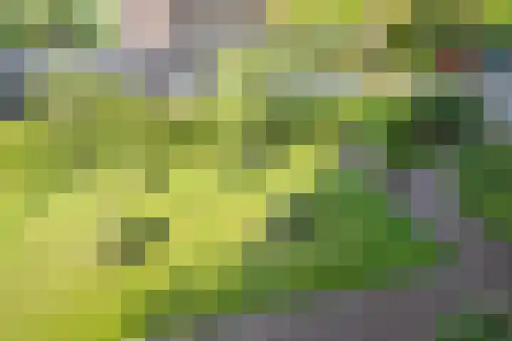 Park Vronesteyn 36 Voorburg thumbnail 37