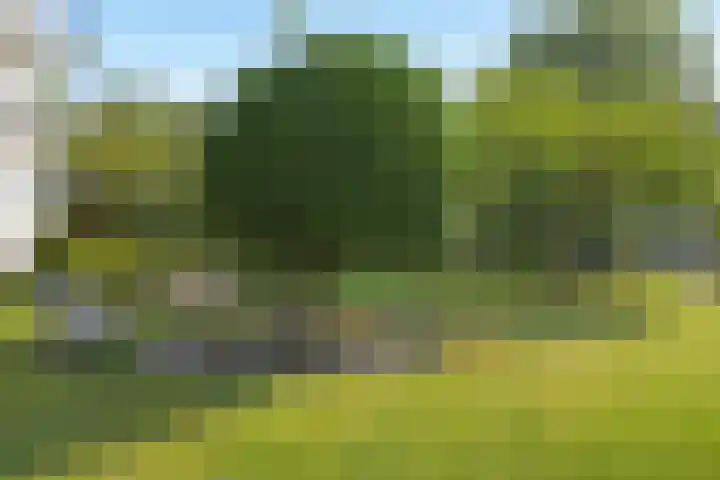 Park Vronesteyn 36 Voorburg thumbnail 4