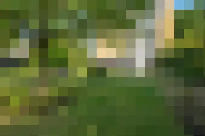 Park Vronesteyn 36 Voorburg thumbnail 5