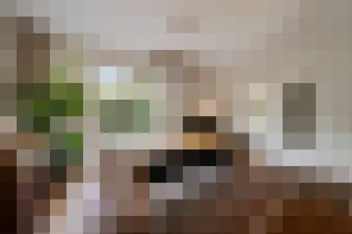 Park Vronesteyn 37 Voorburg thumbnail 17