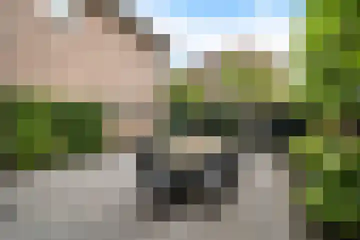 Park Vronesteyn 37 Voorburg thumbnail 23