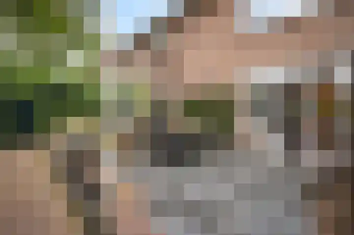 Park Vronesteyn 37 Voorburg thumbnail 30