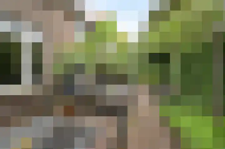 Park Vronesteyn 37 Voorburg thumbnail 31