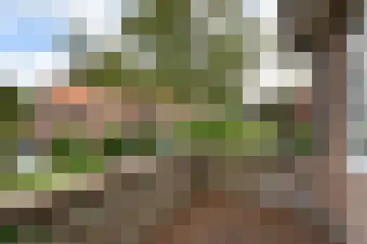 Park Vronesteyn 37 Voorburg thumbnail 44
