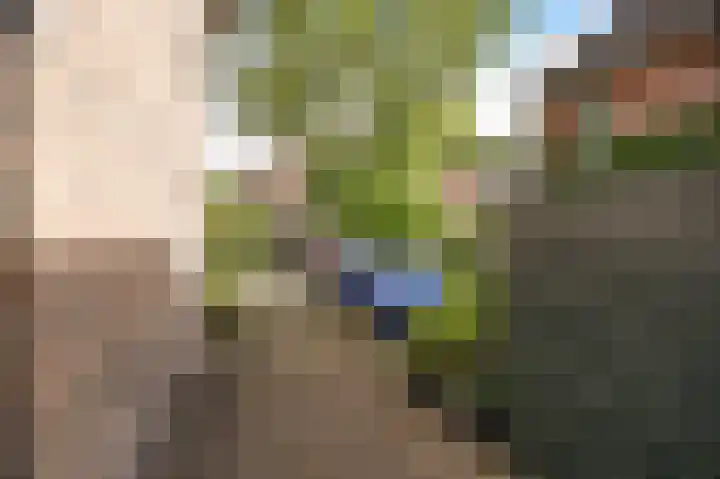 Park Vronesteyn 37 Voorburg thumbnail 5