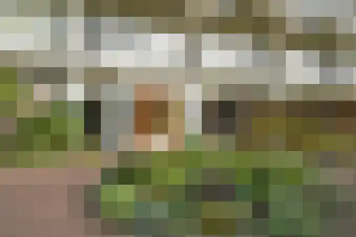 Park Vronesteyn 52 Voorburg thumbnail 11