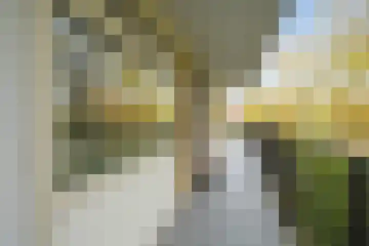 Park Vronesteyn 52 Voorburg thumbnail 13