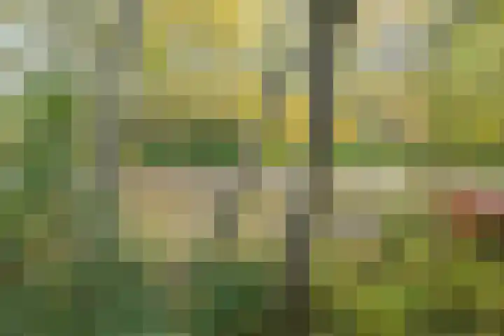 Park Vronesteyn 52 Voorburg thumbnail 14