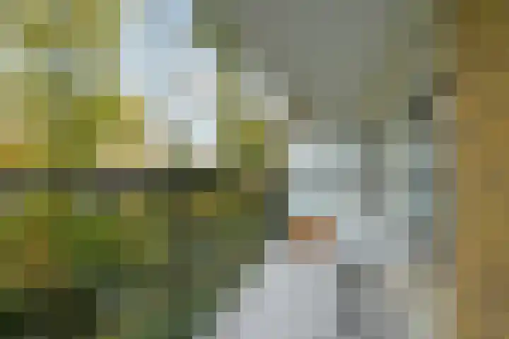 Park Vronesteyn 52 Voorburg thumbnail 55
